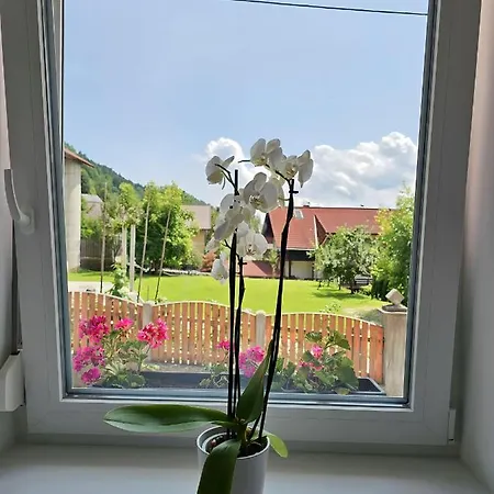Charming Bella Hideout - Adults Only Apartment Jesenice Exterior photo